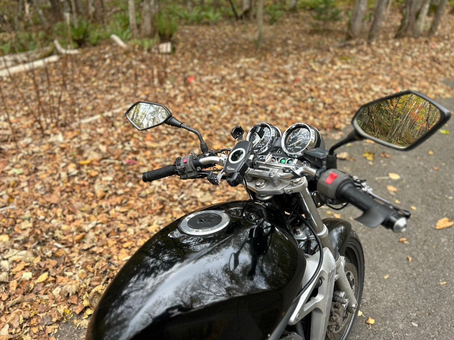 ご予約案内&お得なお知らせ♪