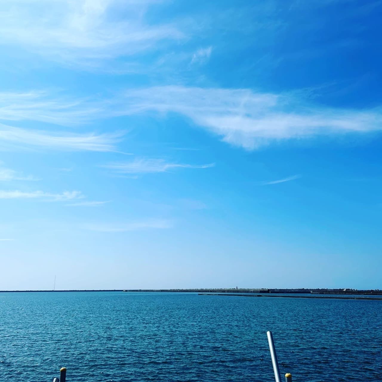 夏バテにはコレッ!
