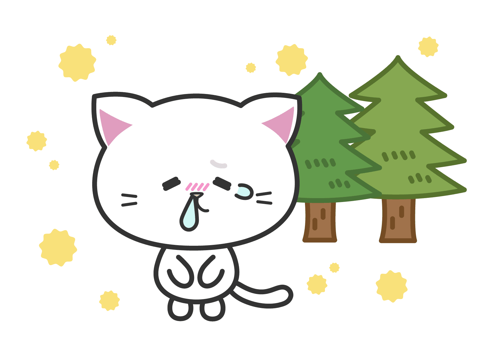 🌸春の花粉対策におすすめ!コウケントー光線でやさしく整える毎日✨