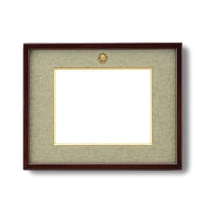 日本製 叙勲額 フレーム 位記サイズ 297×209mm 化粧箱/黄袋入り 位記額 フレーム 額縁 額